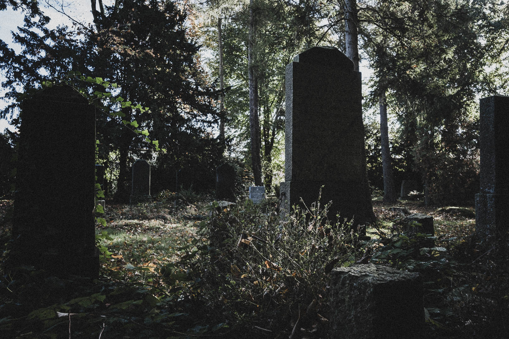 Schortens-Heidmühle, Jüdischer Friedhof